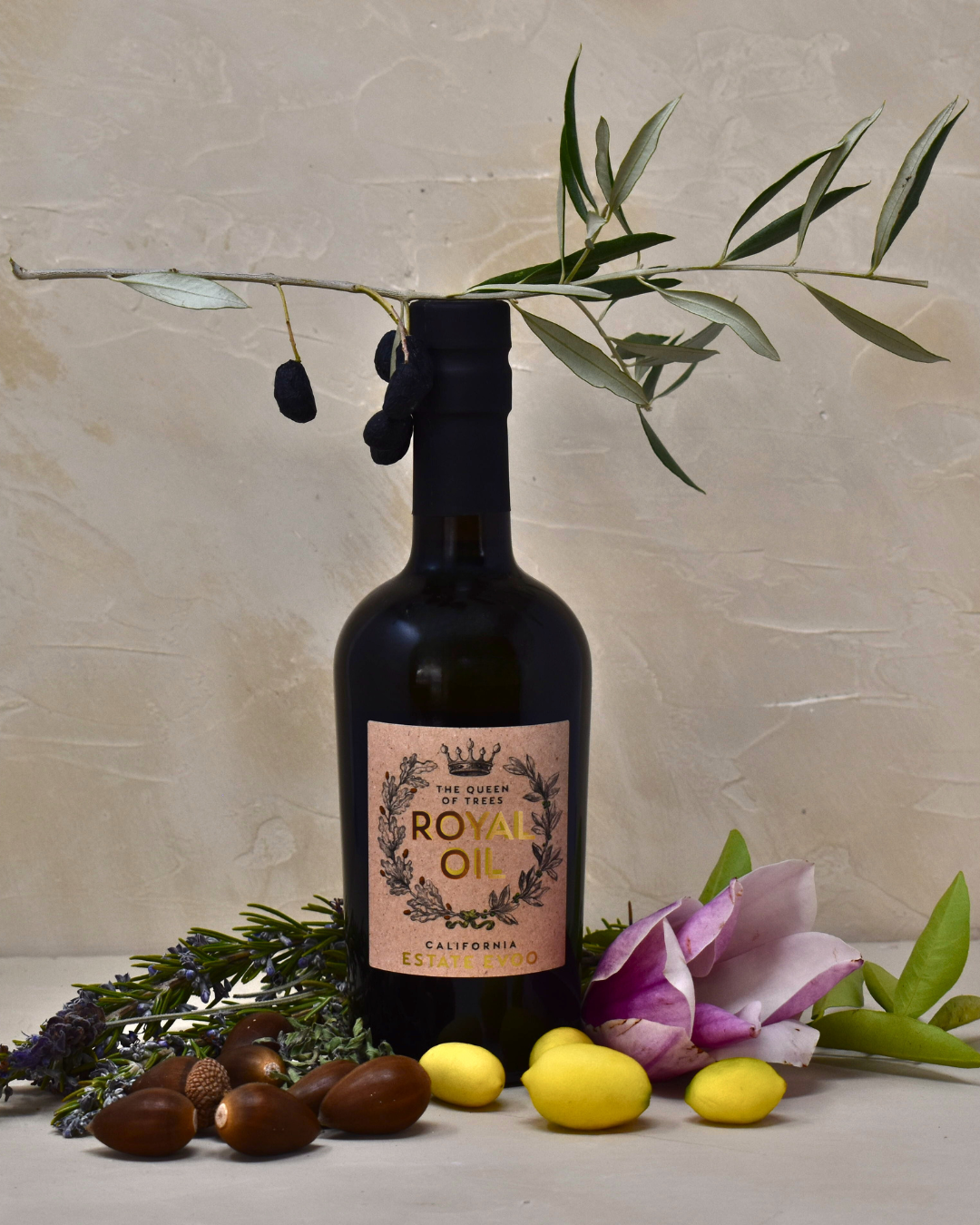 新品★ 環ROY X OLIVE OIL WEEKLY SESSION 2025 Royal Oil Picked Late November